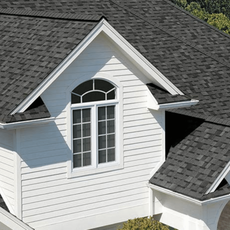 Roof Cleaning Company in Frankfort, IL